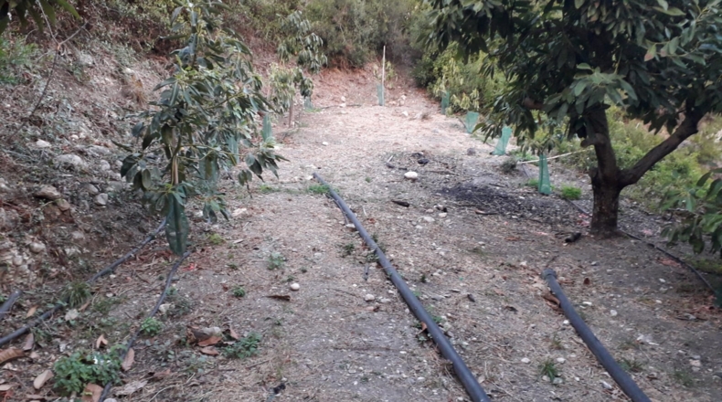 Málaga - Frigiliana - 8900m2