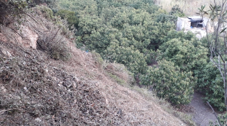 Málaga - Frigiliana - 8900m2