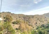 Casa de campo con terreno en venta en la Avenida Andalucía, Totalán, ref: TR86146 foto