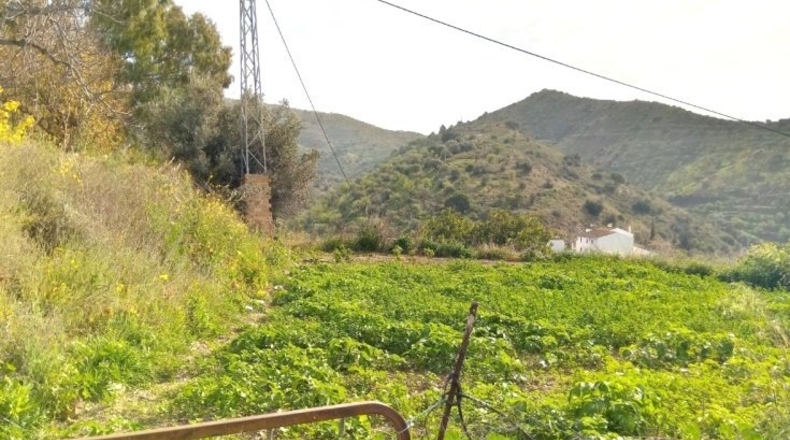 Málaga - Totalán - 428000m2