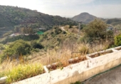 Casa de campo con terreno en venta en la Avenida Andalucía, Totalán, ref: TR86146 foto