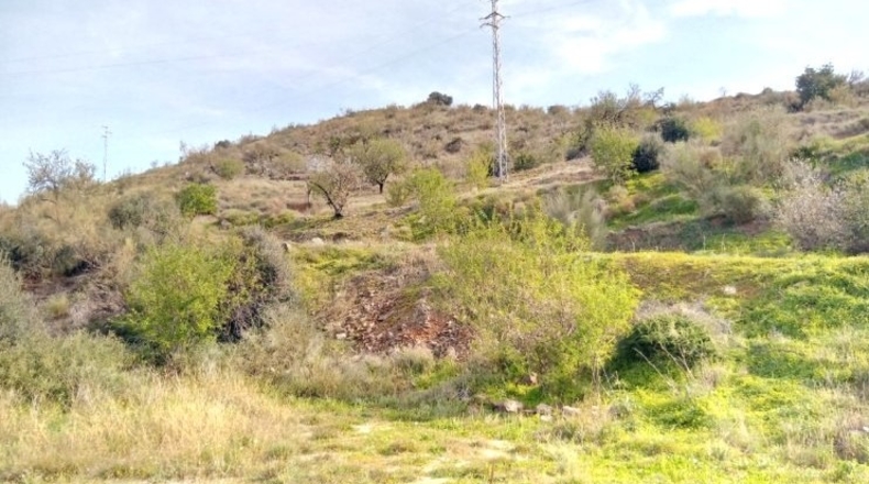 Málaga - Totalán - 428000m2