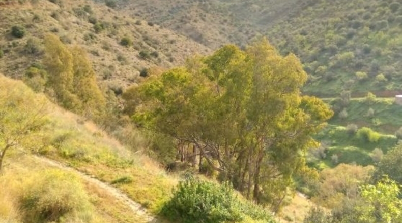 Málaga - Totalán - 428000m2