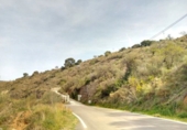 Casa de campo con terreno en venta en la Avenida Andalucía, Totalán, ref: TR86146 foto