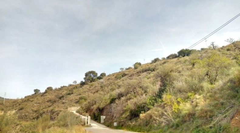 Málaga - Totalán - 428000m2