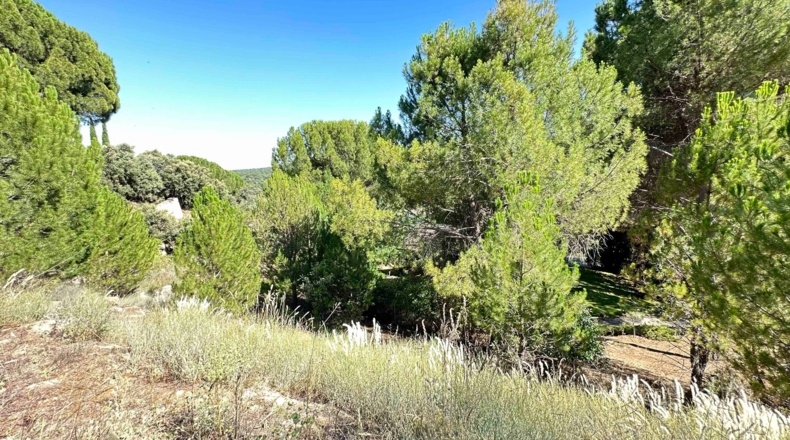 Ávila - Cebreros - 1697m2
