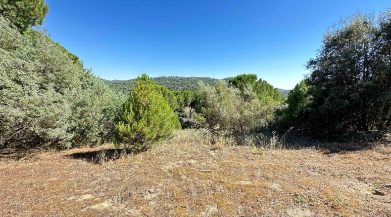 Ávila - Cebreros - 1697m2