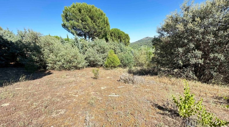 Ávila - Cebreros - 1697m2