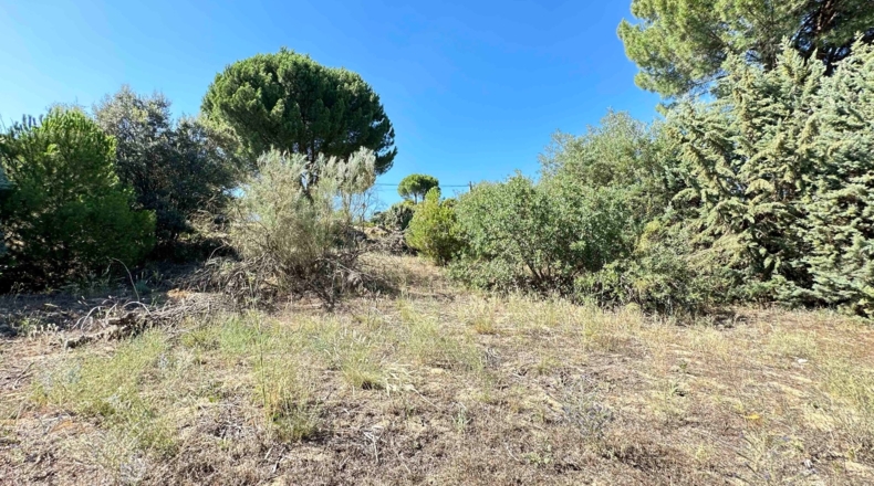 Ávila - Cebreros - 1697m2