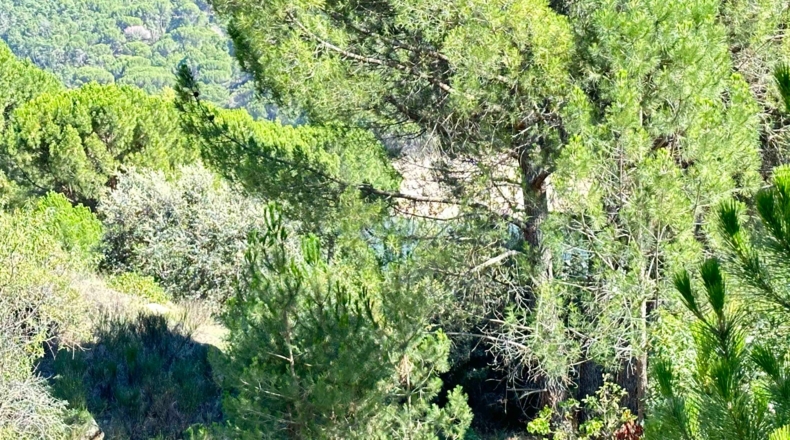Ávila - Cebreros - 1697m2