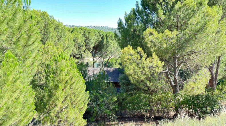 Ávila - Cebreros - 1697m2