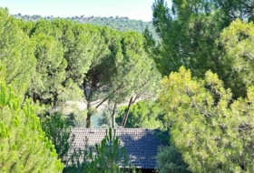 Foto 19