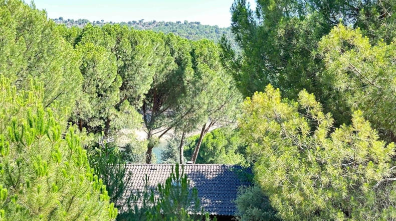 Ávila - Cebreros - 1697m2