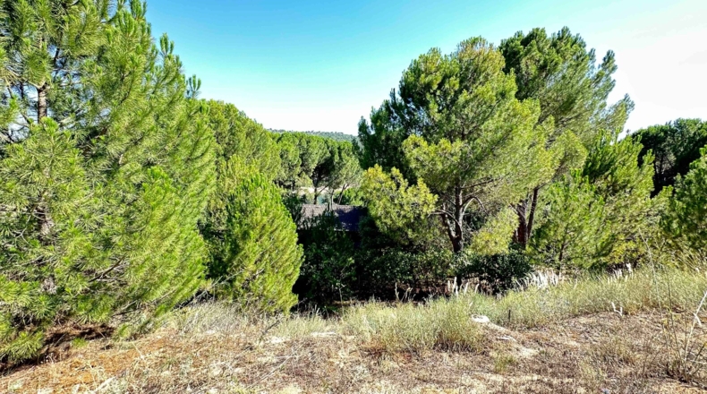 Ávila - Cebreros - 1697m2