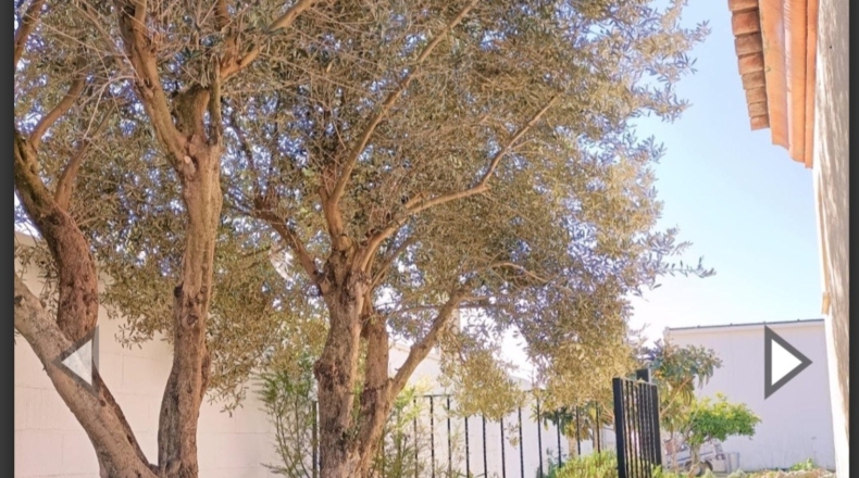 Cádiz - Puerto Real - 2800m2