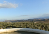 Detached villa with land for sale on Estación de Huelma, ref: TR86149 photo