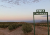 Detached villa with land for sale on Estación de Huelma, ref: TR86149 photo