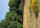 Land suitable for development for sale on O Covelo, ref: TR87086 photo