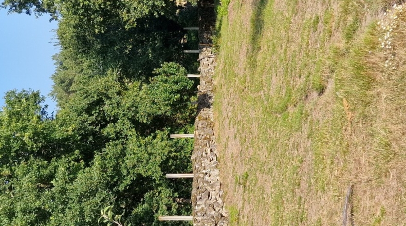 Orense - O Covelo - 8600m2