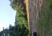 Land suitable for development for sale on O Covelo, ref: TR87086 photo