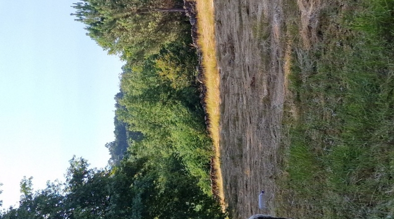 Orense - O Covelo - 8600m2