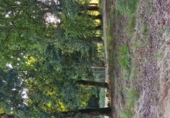 Land suitable for development for sale on O Covelo, ref: TR87086 photo