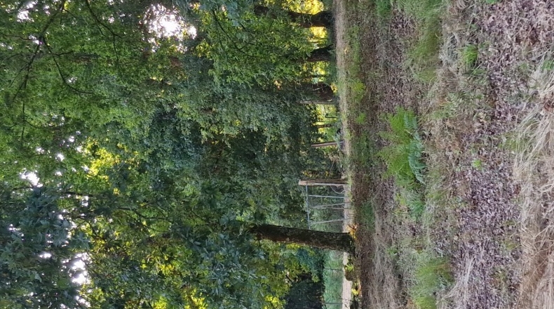 Orense - O Covelo - 8600m2