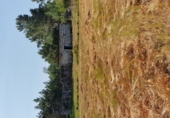 Land suitable for development for sale on O Covelo, ref: TR87086 photo