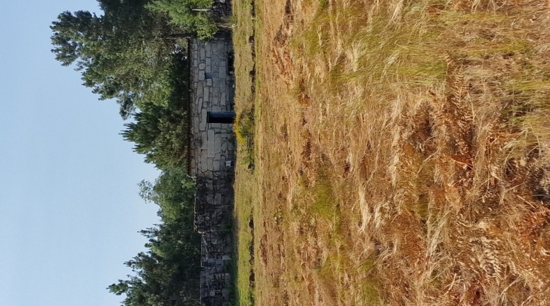 Orense - O Covelo - 8600m2
