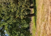 Land suitable for development for sale on O Covelo, ref: TR87086 photo