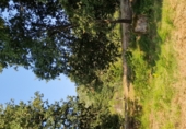 Land suitable for development for sale on O Covelo, ref: TR87086 photo