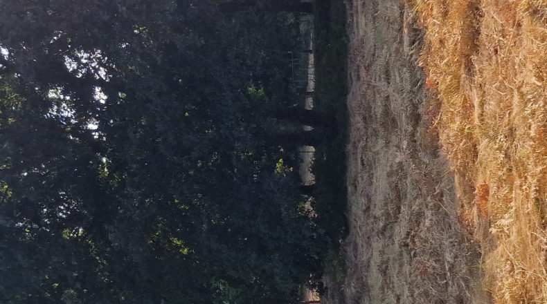 Orense - O Covelo - 8600m2