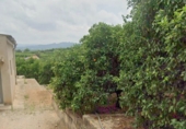 Terreno con Almacén en venta en la CV-560, Sumacàrcer, ref: TR87189 foto
