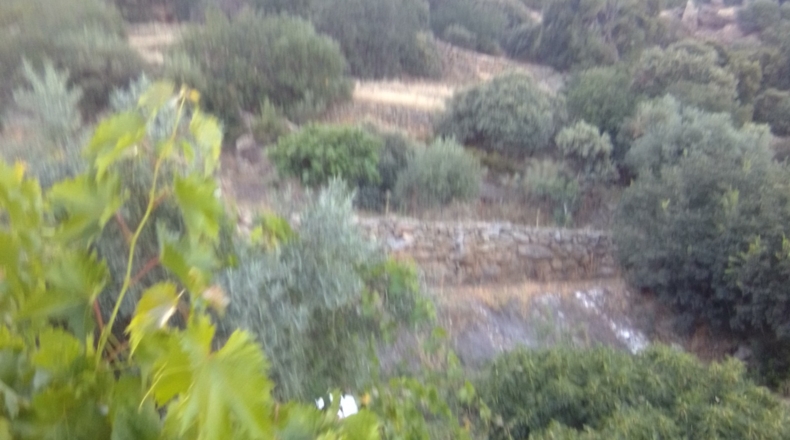 Toledo - Castillo de Bayuela - 275m2