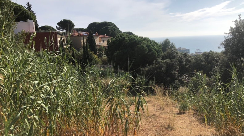 Barcelona - Calella - 1044m2