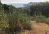 Urban land for sale on Carrer Garbí, Calella, ref: TR87392 photo