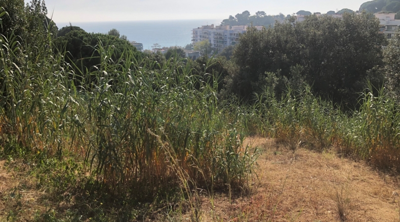 Barcelona - Calella - 1044m2