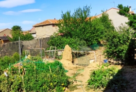 Foto 5