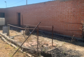 Foto 15