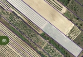 Non-developable land for sale on Camino de Uruñuela a Torremontalbo, Cenicero, ref: TR87493 photo