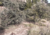 Terreny no urbanitzable en venda a la CV-190, Llucena, ref.: TR87487 foto