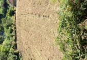 Land suitable for development for sale on Lugar Agra, San Roque de Crespos, ref: TR87488 photo