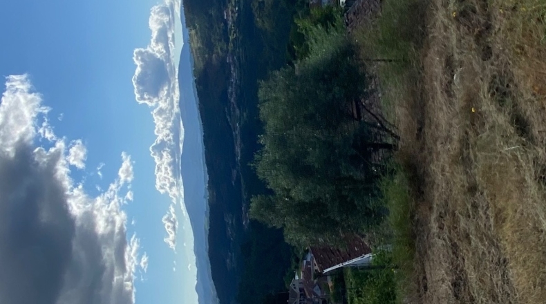 Orense - San Roque de Crespos - 7320m2