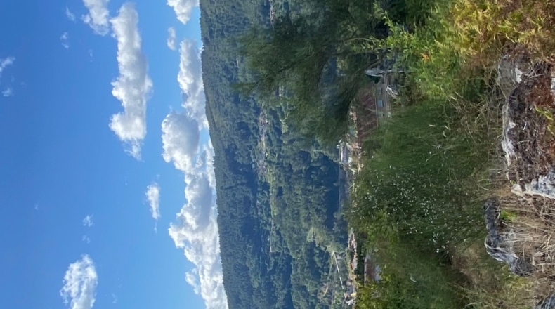 Orense - San Roque de Crespos - 7320m2