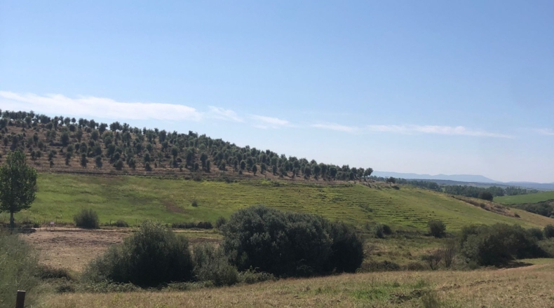 Palencia - Calzadilla de la Cueza - 16000m2