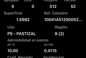 Foto 6