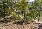 Suelo urbano en venta en la Dorna, ref: TR88605 foto