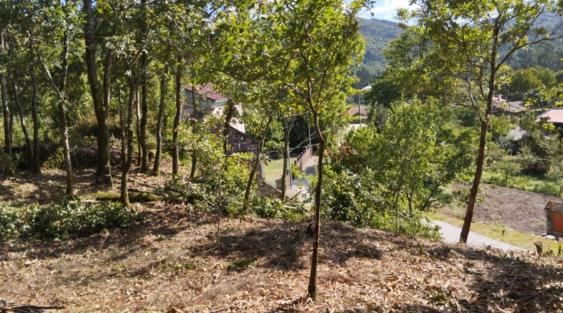 Pontevedra - Dorna - 900m2