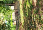 Suelo urbano en venta en la Dorna, ref: TR88605 foto