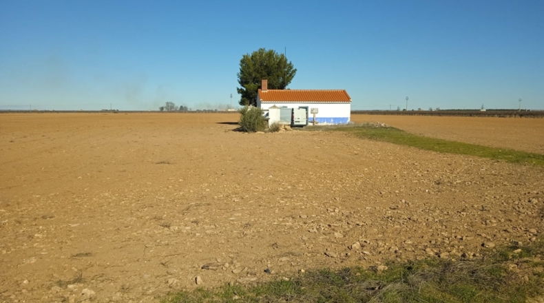 Ciudad Real - Socuéllamos - 75000m2